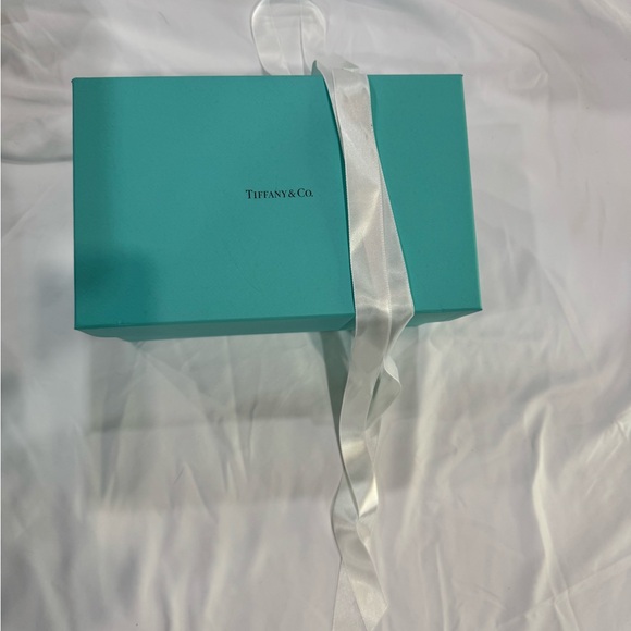 Tiffany & Co. Signature Block Cosmetic Bag. NWT - Picture 11 of 11